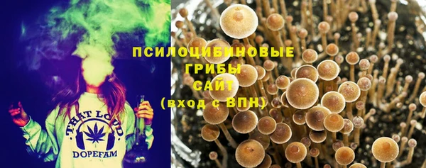 ECSTASY Алексин